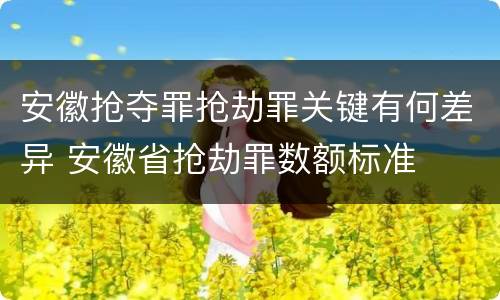 安徽抢夺罪抢劫罪关键有何差异 安徽省抢劫罪数额标准