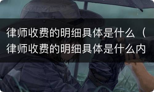 律师收费的明细具体是什么（律师收费的明细具体是什么内容）