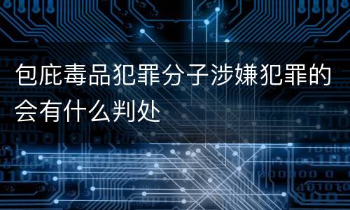 包庇毒品犯罪分子涉嫌犯罪的会有什么判处