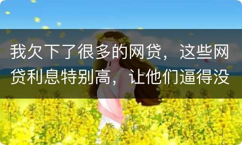 我欠下了很多的网贷，这些网贷利息特别高，让他们逼得没有能力偿还了，我该怎么办