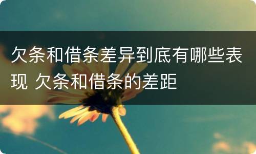 欠条和借条差异到底有哪些表现 欠条和借条的差距