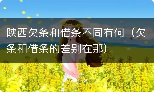 陕西欠条和借条不同有何（欠条和借条的差别在那）