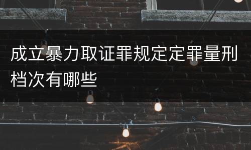 成立暴力取证罪规定定罪量刑档次有哪些