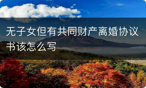 无子女但有共同财产离婚协议书该怎么写