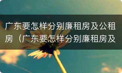 广东要怎样分别廉租房及公租房（广东要怎样分别廉租房及公租房呢）