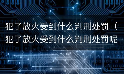 犯了放火受到什么判刑处罚（犯了放火受到什么判刑处罚呢）