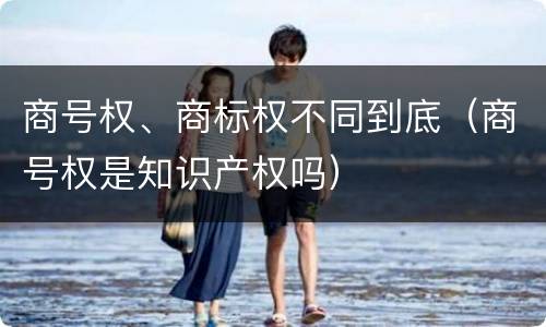 商号权、商标权不同到底（商号权是知识产权吗）