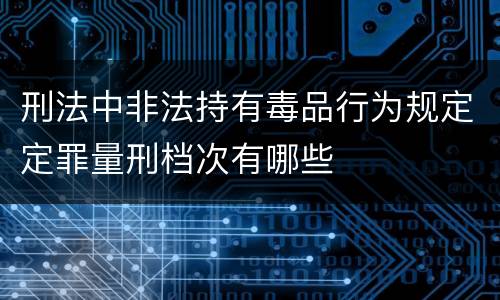 刑法中非法持有毒品行为规定定罪量刑档次有哪些