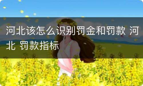 河北该怎么识别罚金和罚款 河北 罚款指标