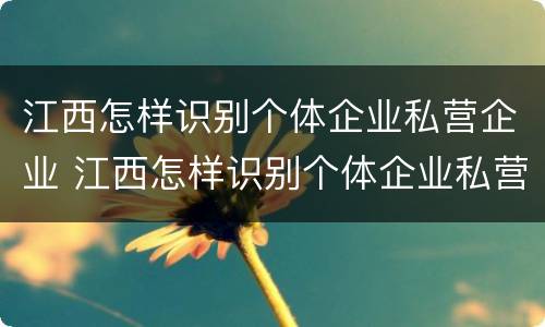 江西怎样识别个体企业私营企业 江西怎样识别个体企业私营企业呢