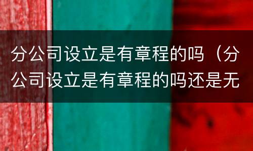 分公司设立是有章程的吗（分公司设立是有章程的吗还是无章）