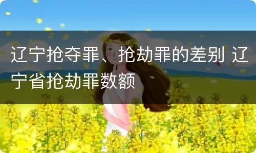 辽宁抢夺罪、抢劫罪的差别 辽宁省抢劫罪数额
