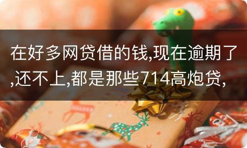 在好多网贷借的钱,现在逾期了,还不上,都是那些714高炮贷,征信上也没有