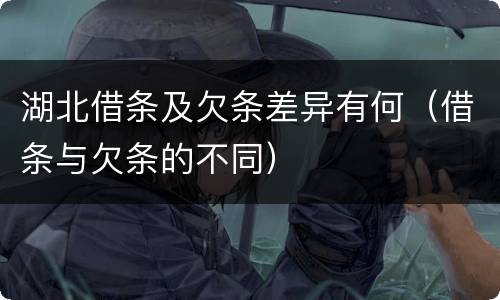 湖北借条及欠条差异有何（借条与欠条的不同）