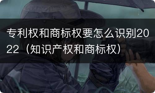 专利权和商标权要怎么识别2022（知识产权和商标权）