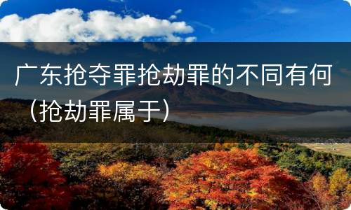 广东抢夺罪抢劫罪的不同有何（抢劫罪属于）