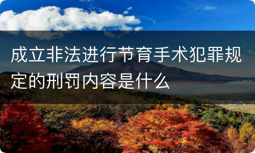 成立非法进行节育手术犯罪规定的刑罚内容是什么
