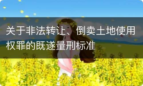 关于非法转让、倒卖土地使用权罪的既遂量刑标准