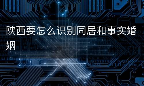 陕西要怎么识别同居和事实婚姻