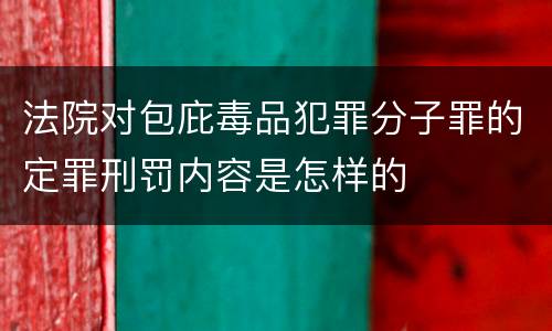 法院对包庇毒品犯罪分子罪的定罪刑罚内容是怎样的