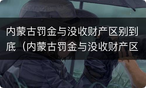 内蒙古罚金与没收财产区别到底（内蒙古罚金与没收财产区别到底是什么）