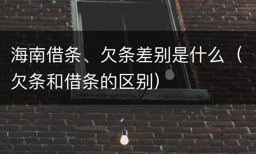 海南借条、欠条差别是什么（欠条和借条的区别）