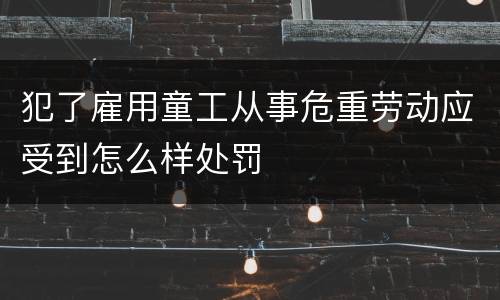 犯了雇用童工从事危重劳动应受到怎么样处罚