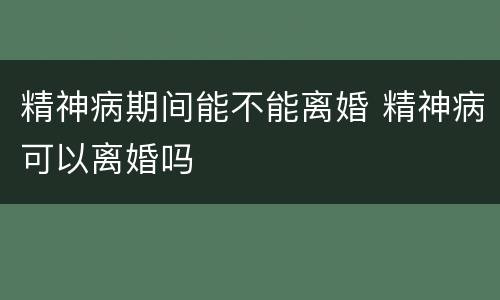 精神病期间能不能离婚 精神病可以离婚吗
