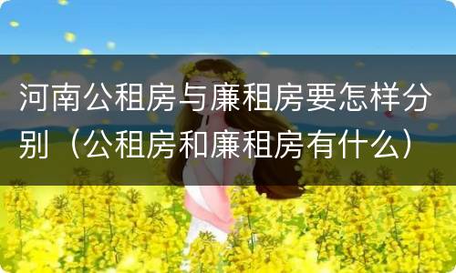 河南公租房与廉租房要怎样分别（公租房和廉租房有什么）