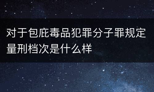 对于包庇毒品犯罪分子罪规定量刑档次是什么样