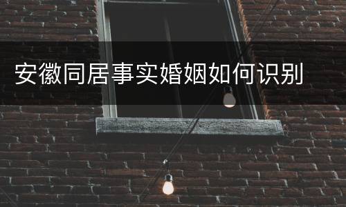 安徽同居事实婚姻如何识别