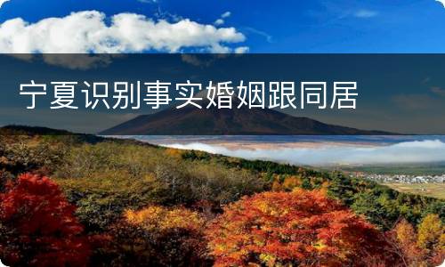 宁夏识别事实婚姻跟同居