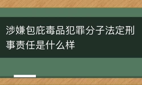 涉嫌包庇毒品犯罪分子法定刑事责任是什么样