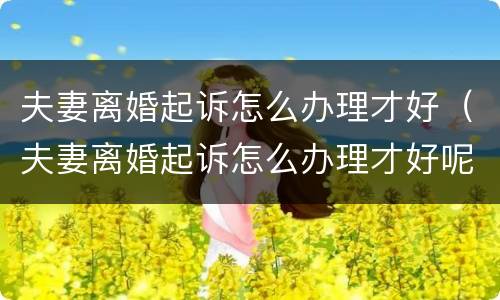 夫妻离婚起诉怎么办理才好（夫妻离婚起诉怎么办理才好呢）