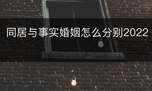 同居与事实婚姻怎么分别2022