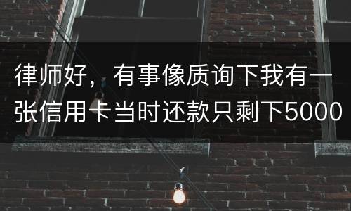 律师好，有事像质询下我有一张信用卡当时还款只剩下5000现在升到20000怎么办