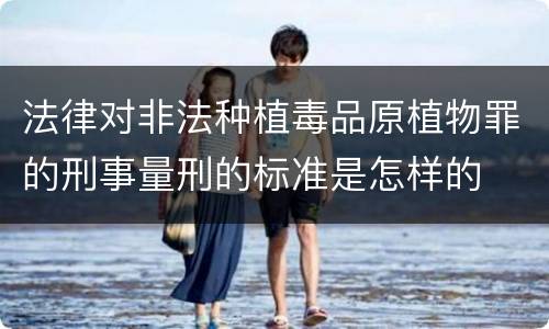 法律对非法种植毒品原植物罪的刑事量刑的标准是怎样的