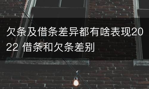 欠条及借条差异都有啥表现2022 借条和欠条差别