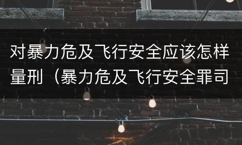 对暴力危及飞行安全应该怎样量刑（暴力危及飞行安全罪司法解释）