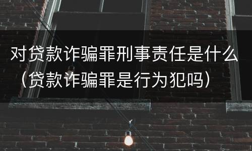 对贷款诈骗罪刑事责任是什么（贷款诈骗罪是行为犯吗）