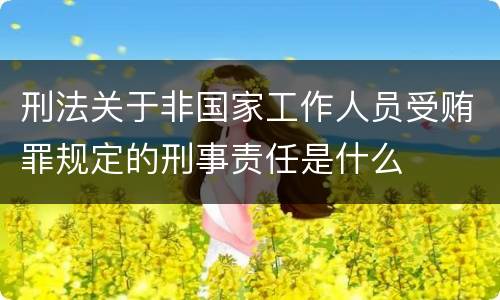 刑法关于非国家工作人员受贿罪规定的刑事责任是什么