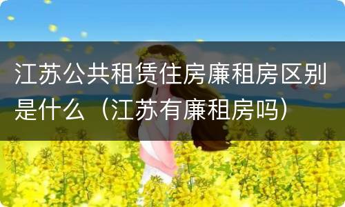 江苏公共租赁住房廉租房区别是什么（江苏有廉租房吗）