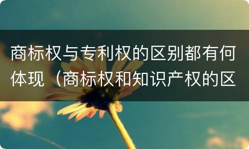 商标权与专利权的区别都有何体现（商标权和知识产权的区别）