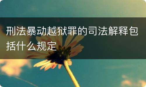 刑法暴动越狱罪的司法解释包括什么规定