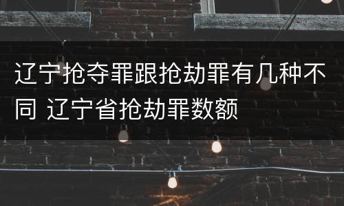 辽宁抢夺罪跟抢劫罪有几种不同 辽宁省抢劫罪数额