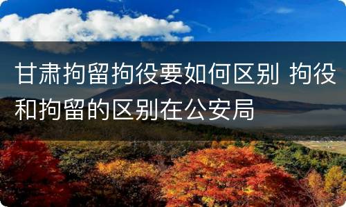 甘肃拘留拘役要如何区别 拘役和拘留的区别在公安局