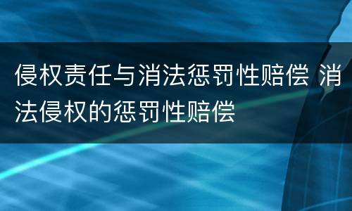 侵权责任与消法惩罚性赔偿 消法侵权的惩罚性赔偿