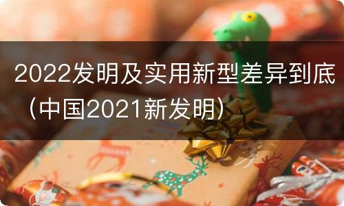 2022发明及实用新型差异到底（中国2021新发明）