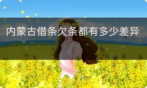 内蒙古借条欠条都有多少差异