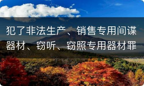 犯了非法生产、销售专用间谍器材、窃听、窃照专用器材罪既遂怎么处罚